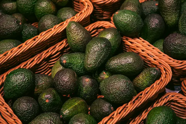 Exportación de palta proceso, requisitos y logística